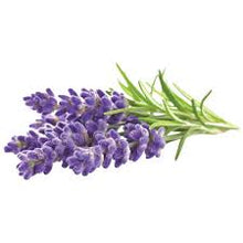 Load image into Gallery viewer, LAVENDER ESSENTIAL OIL