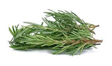 Load image into Gallery viewer, ROSEMARY ESSENTIAL OIL