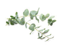 Load image into Gallery viewer, EUCALYPTUS ESSENTIAL OIL
